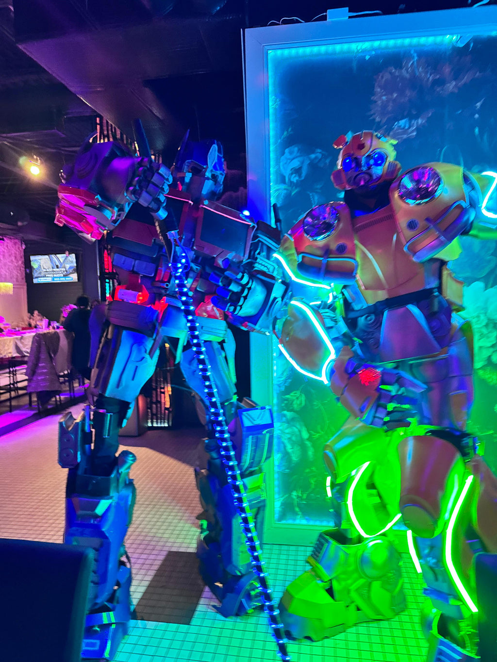 Robot Show Packages